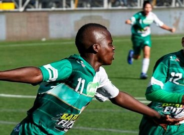 ¡Cancelado el Festival de Festivales! El torneo infantil más importante del país no se realizará por la pandemia