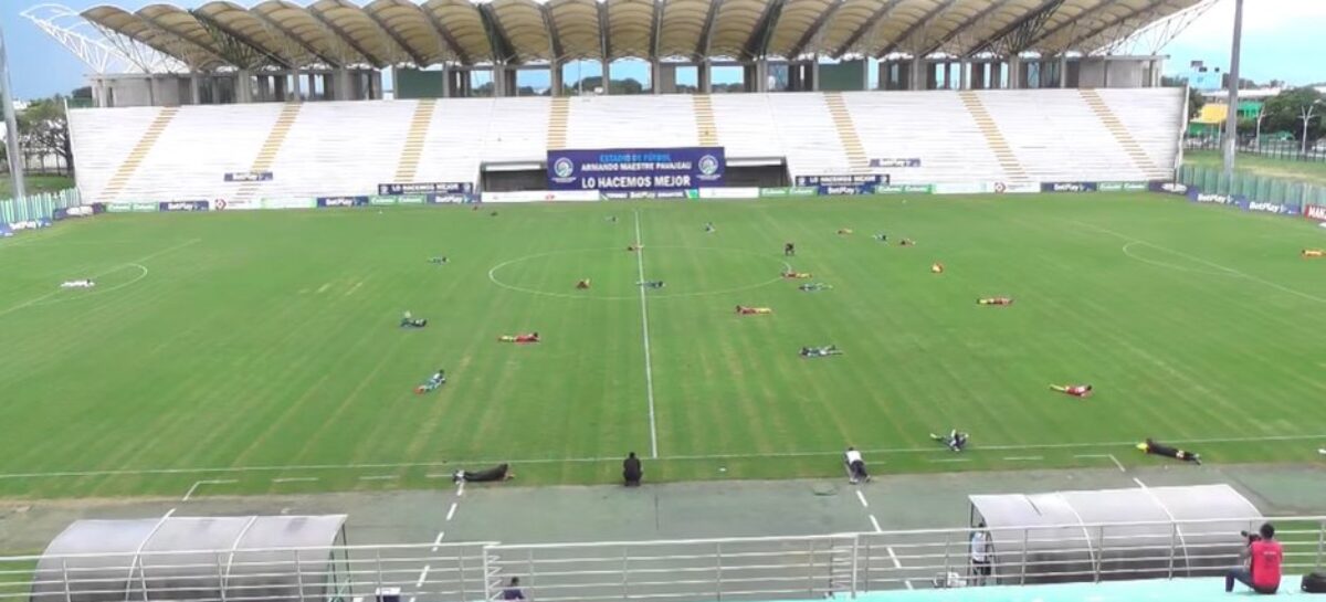 No, no era una protesta: enjambre de abejas interrumpió un partido del Torneo Betplay