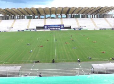 No, no era una protesta: enjambre de abejas interrumpió un partido del Torneo Betplay