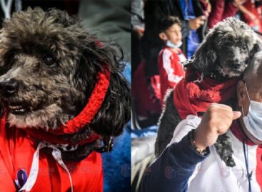 Falleció ‘Medallo’, el perrito más querido por los hinchas del DIM