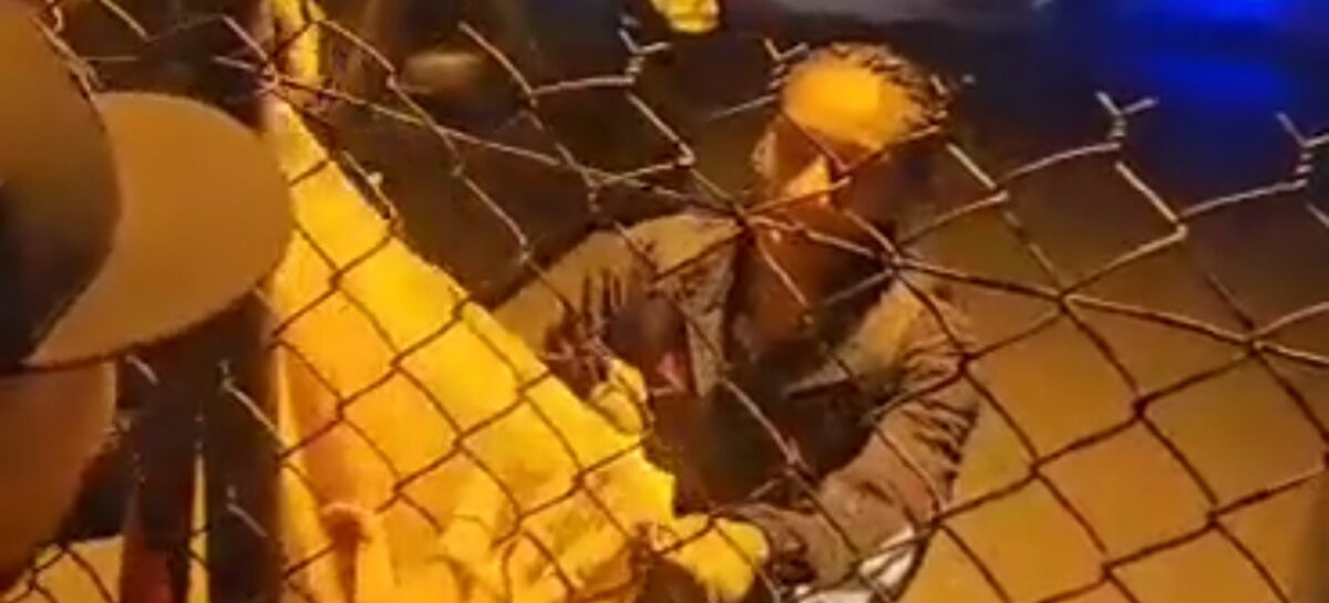 «Son unas nenas. Que coman mie$#@»: jugadora de la Selección Colombia tras la suspensión del partido ante Irlanda